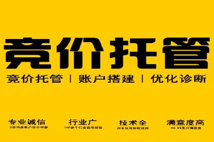 百度竞价推广实战：案例分析与优化策略